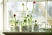 Кімнатні квіти: корисні помічники або шкідники на вікнах - пiдвiконня Danke